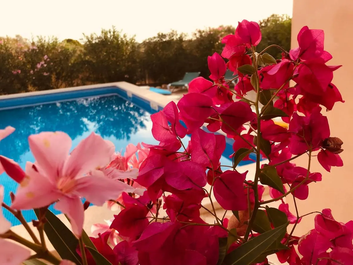 Casa Luz Solar - Schoene Finca In Strandnaehe, Privatpool, Klimaanlage, Wifi Santanyi Holiday home